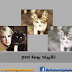 تأتيرات psd روعـة