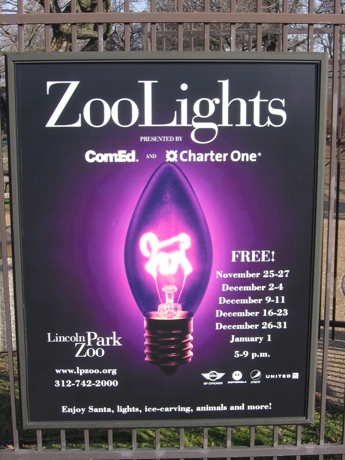 The Chicago Real Estate Local There's still time for Zoo Lights!