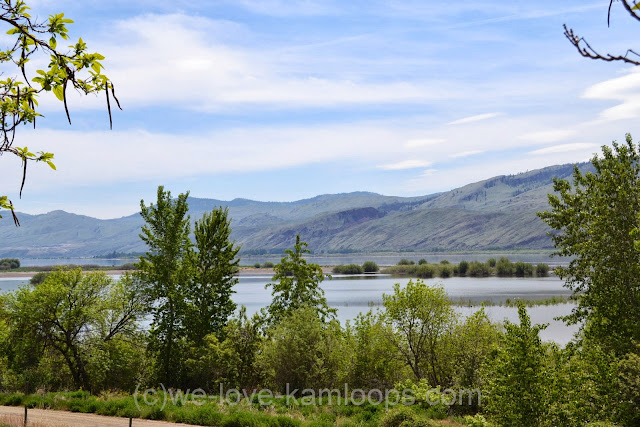 The lake is larger in springtime as the water sits over the fields.