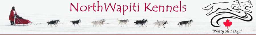 North Wapiti Blog
