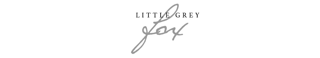 Little Grey Fox