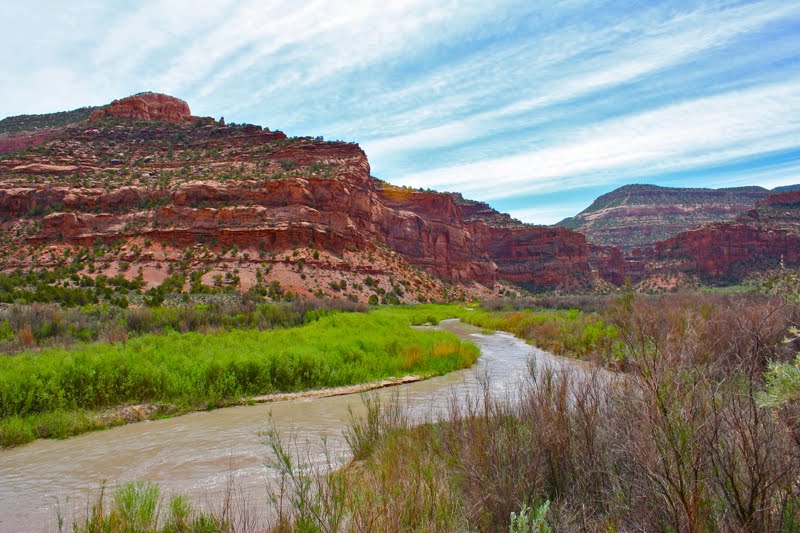 Colorado Lifestyle Dolores River Canyon Hike