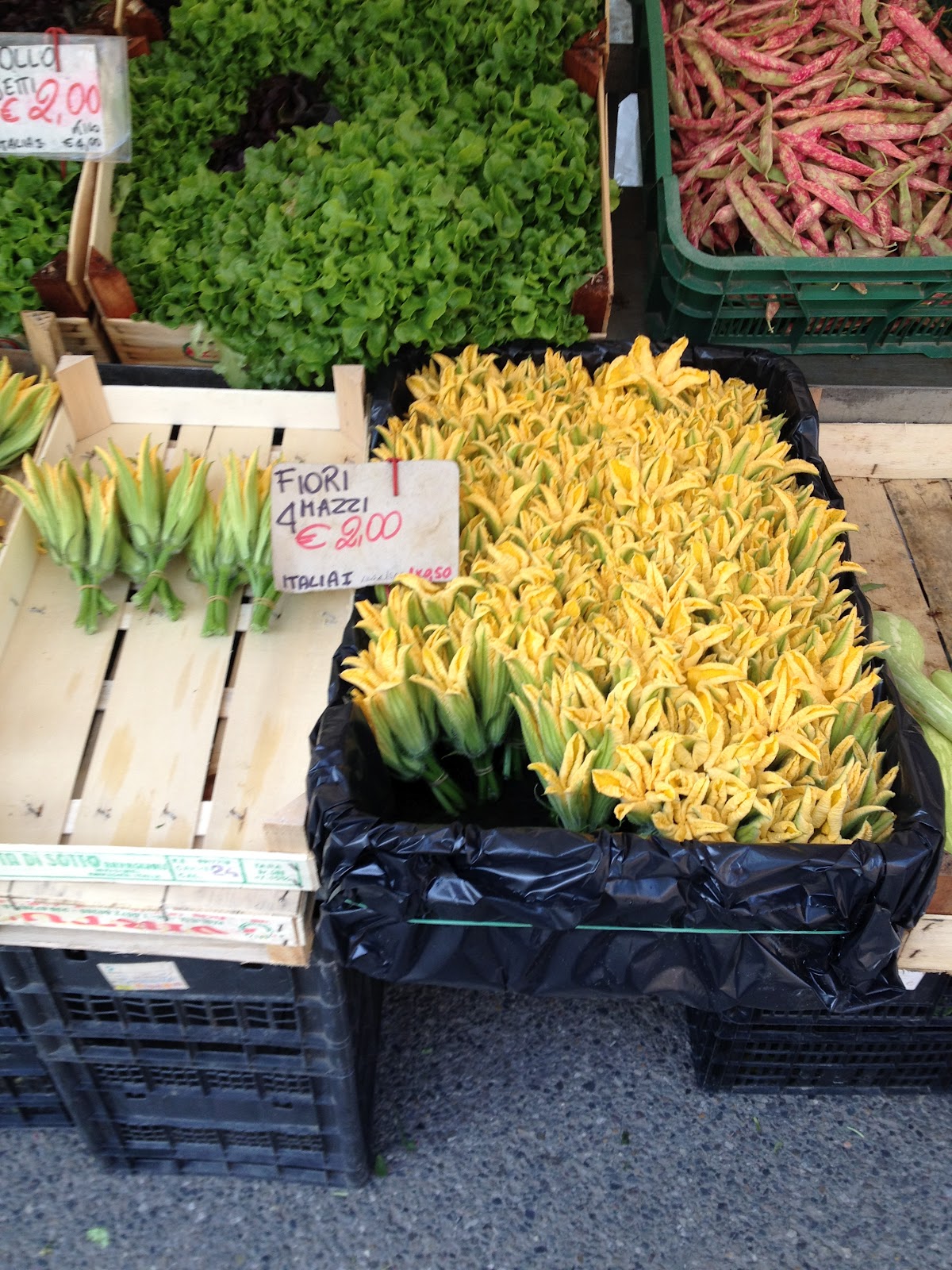 garden at heart Zucchini flowers from Italy