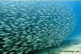 Emulators - Firmware - BIOS Downloads Romcollector