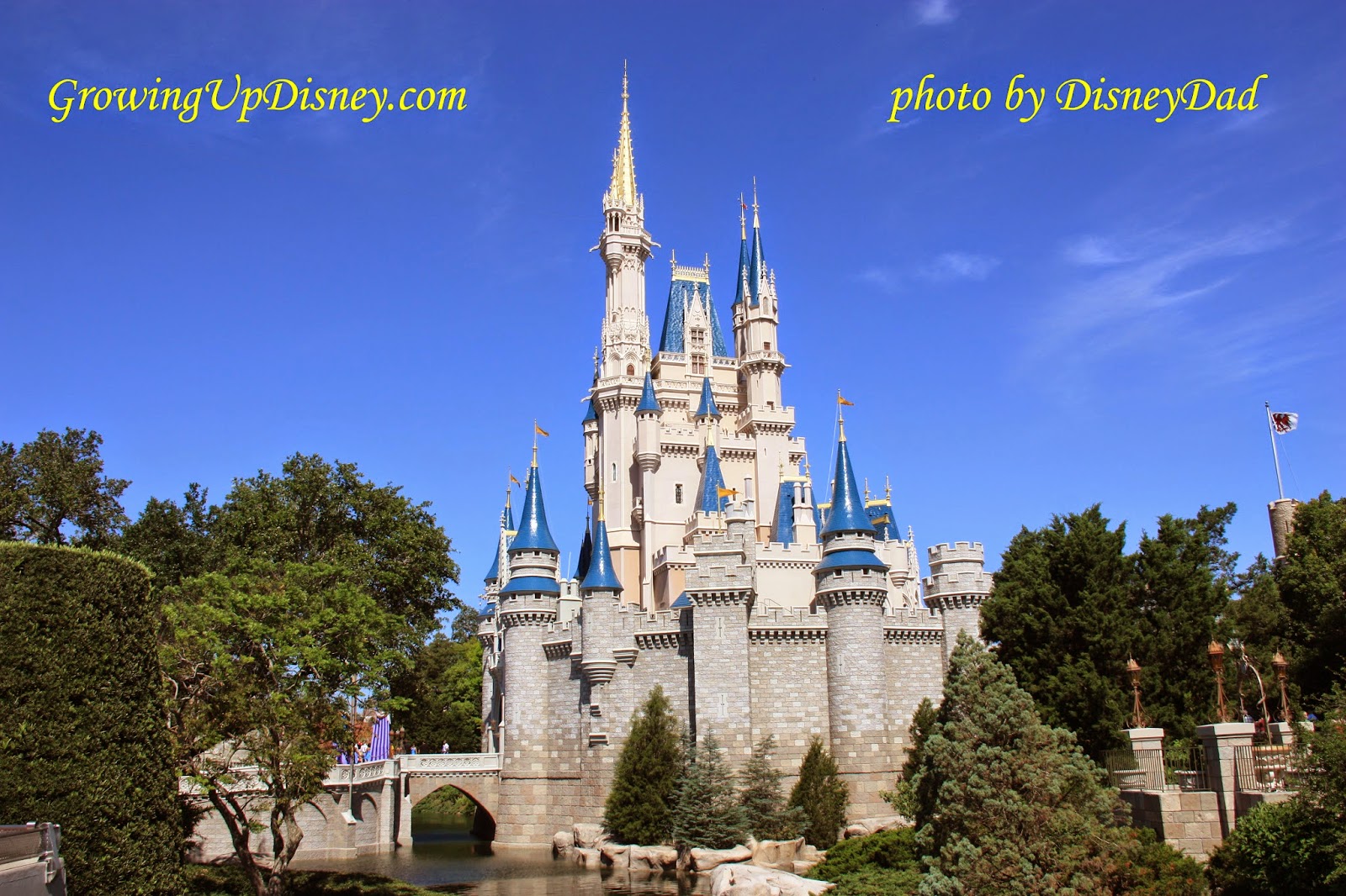 Growing Up Disney, Walt Disney World, castle