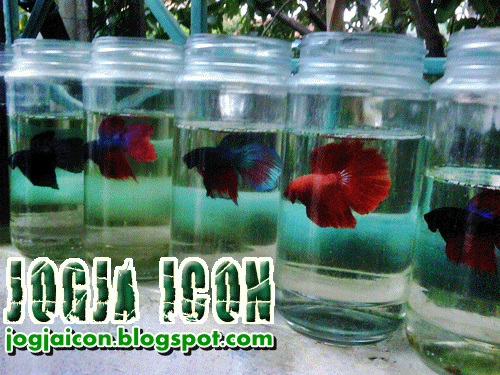 Jogjaicon Jogja Icon Jogja Journey Explorejogja