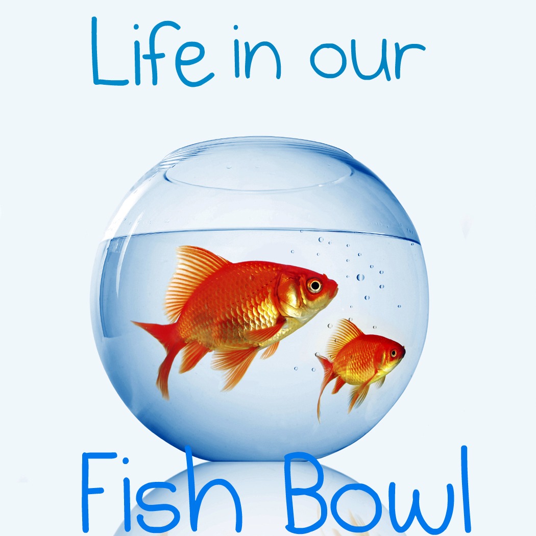 Life in our fish bowl