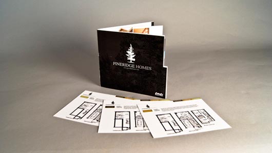 Real Estate Brochure