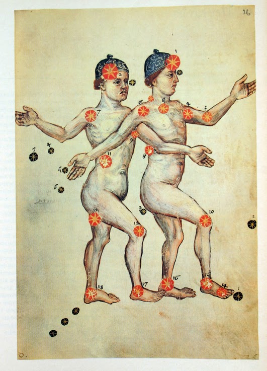 VIRGO ASCENDENTE SAGITARIO virgo ascendente sagitario: