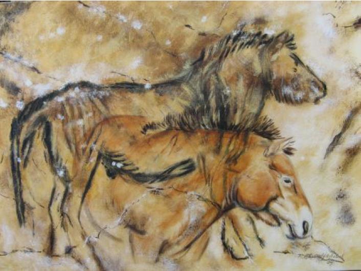 Https Www Ds Infocenter De Downloads Lmds Lmds 79 Mai2015 Pdf