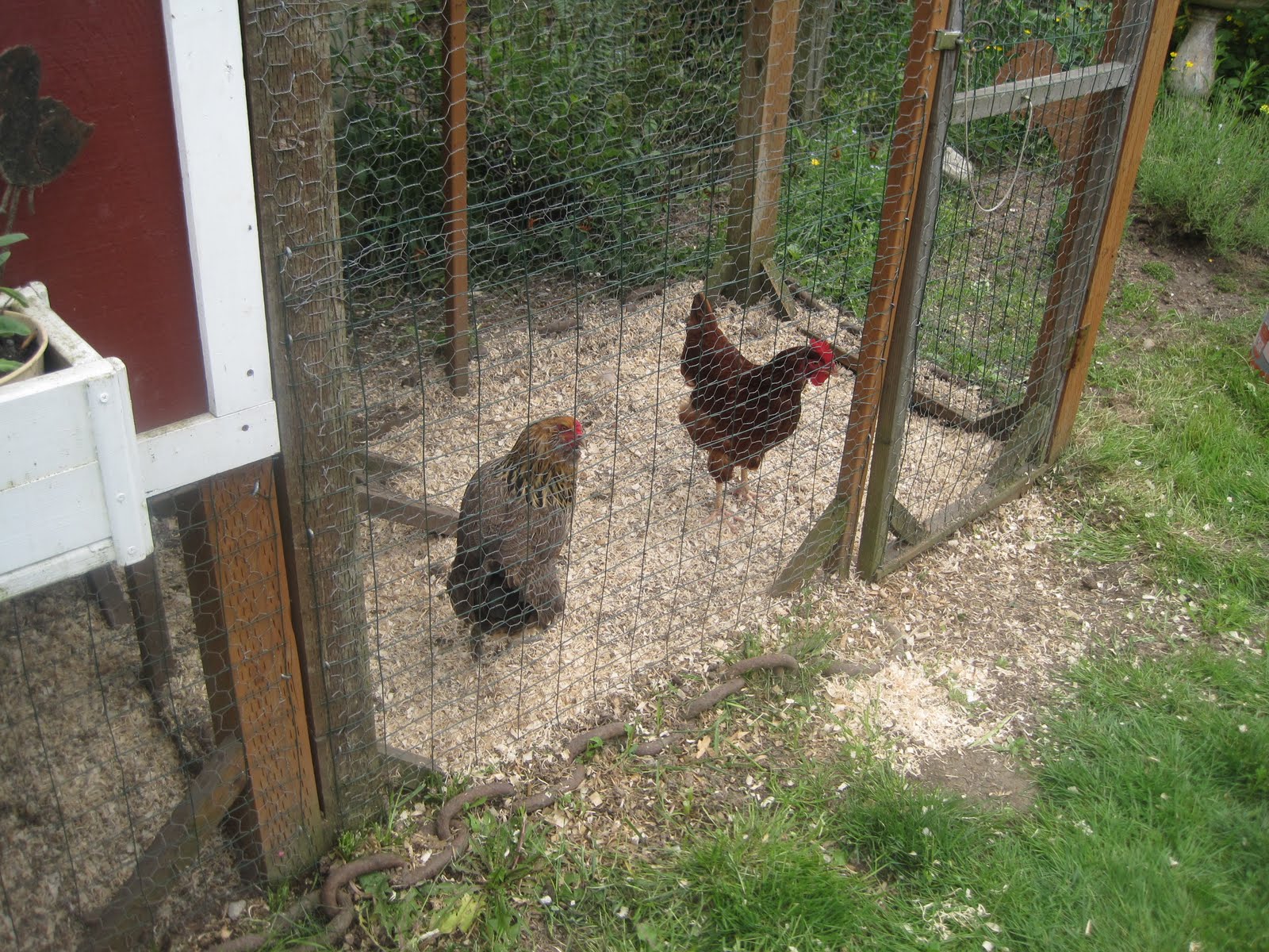 Bound By the Seasons. Seattle Tilth's Chicken Coop and Urban Farm Tour.