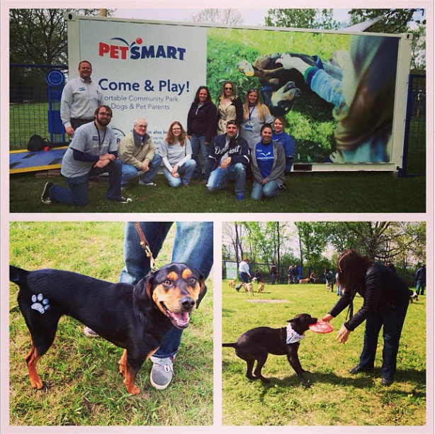 Paradigm InfoStream PetSmart opens PopUp Dog Park in Downtown Detroit