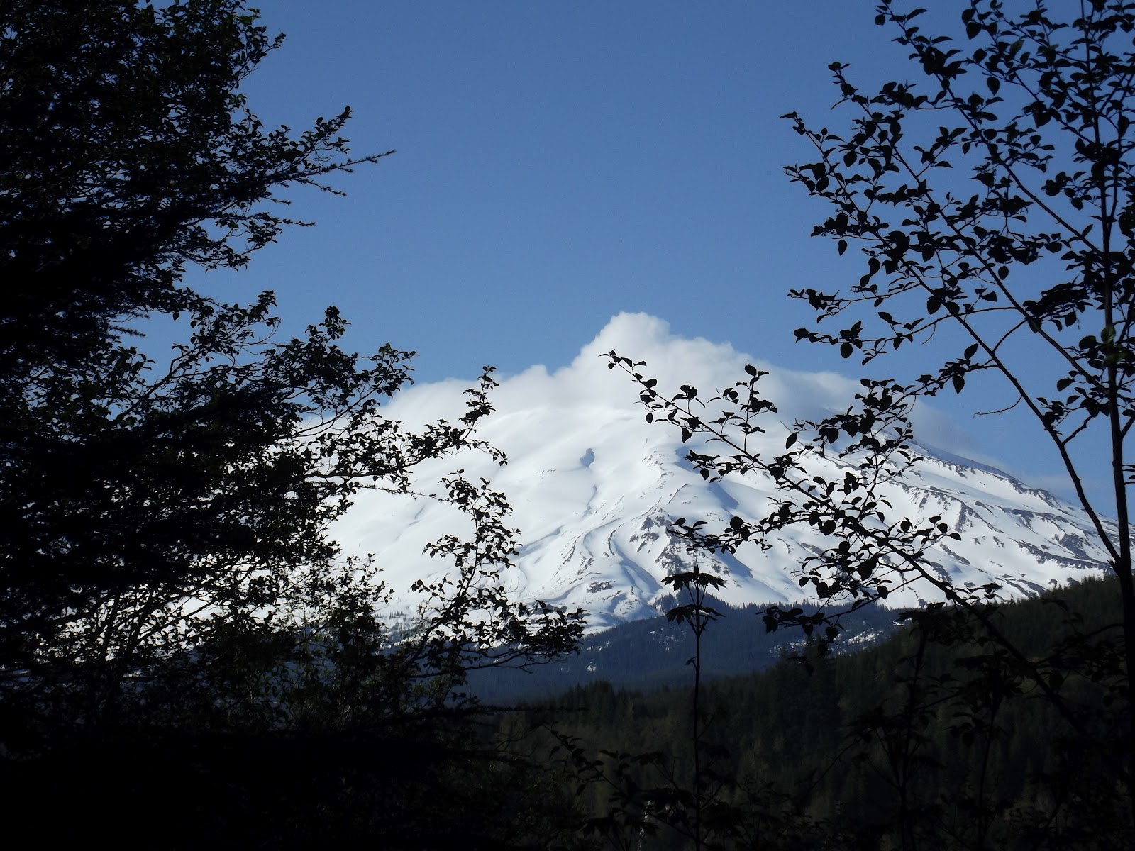 Swift Forest Camp, Our Summer "Home"5/178/19/12 SHIELDS RV ADVENTURES