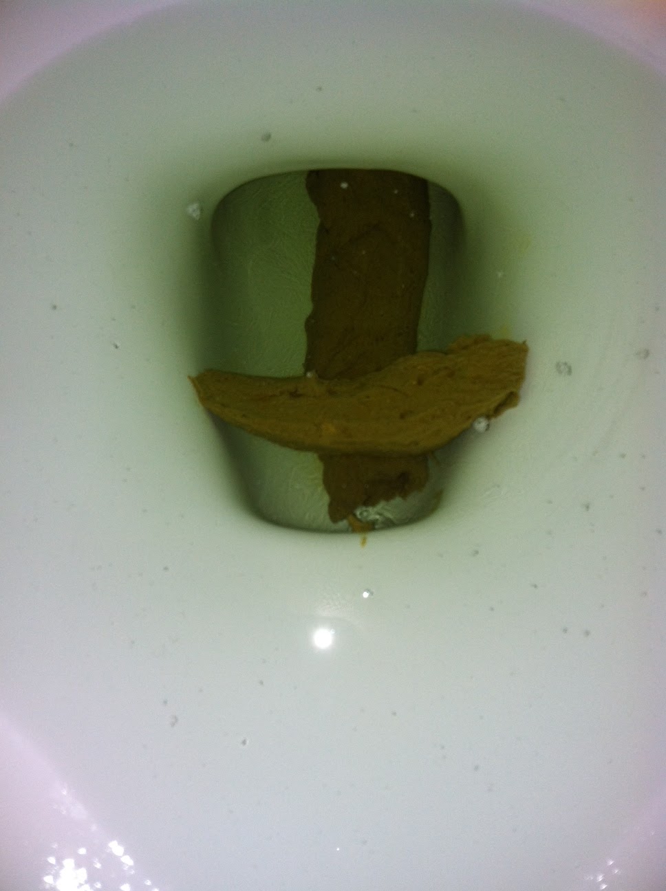 Fotos de Caca / Shit Pictures