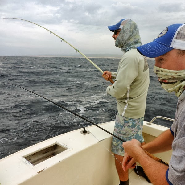 Tight Lined Tales of a Fly Fisherman: Allen Fly Fishing Crew + Custom 14wt  Glass Rod = Cabo Sailfish
