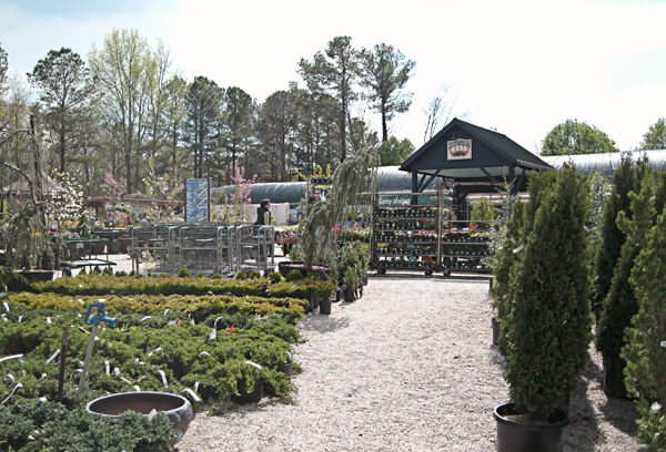 Garden Supply Company A Guide For Parents In The Triangle Region