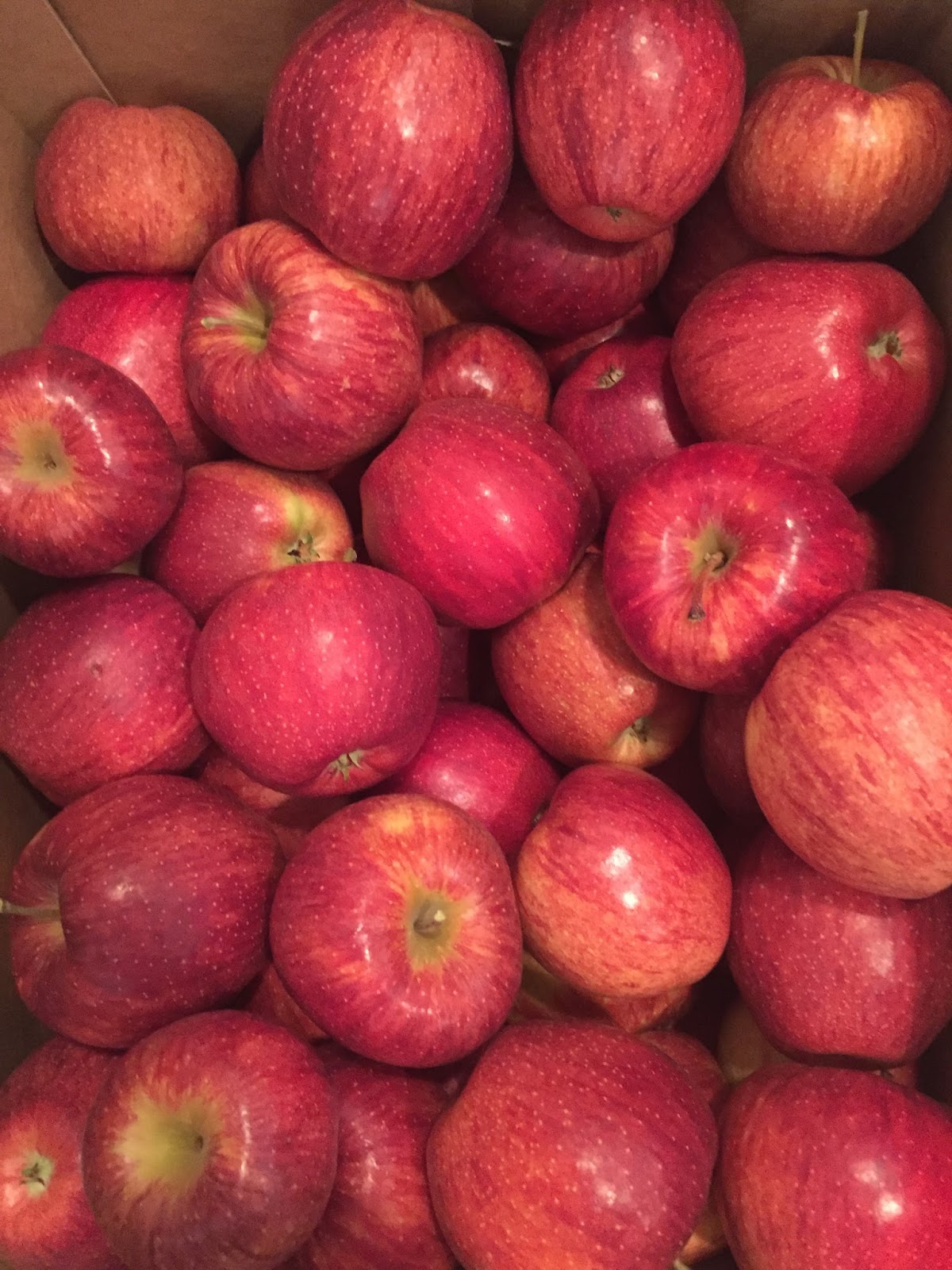 The Clean Fifteen and The Dirty Dozen Spinach is GOOD for You!