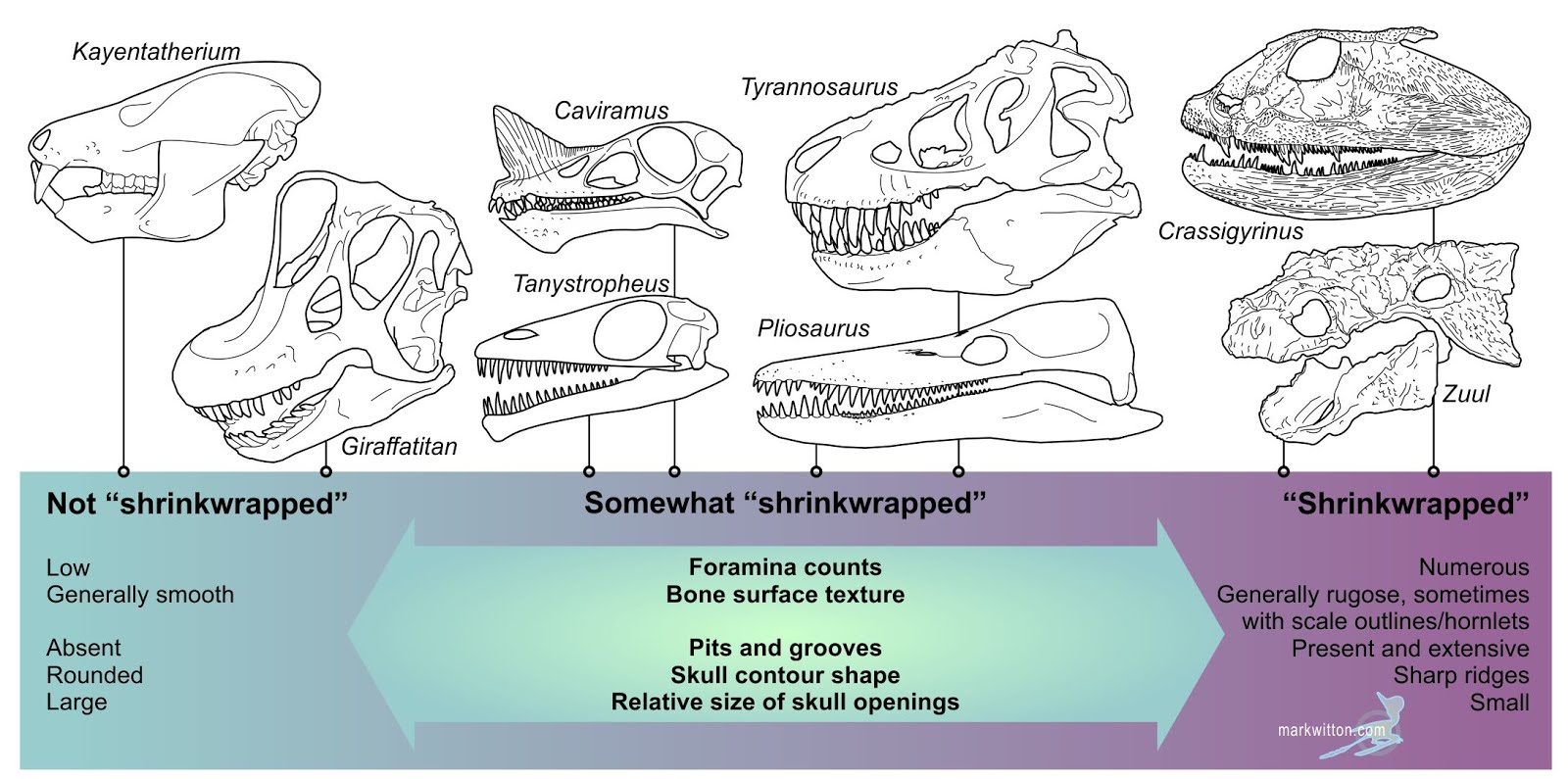 Mark Blog The convention of shrinkwrapping thoughts for