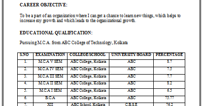 mca fresher resume format