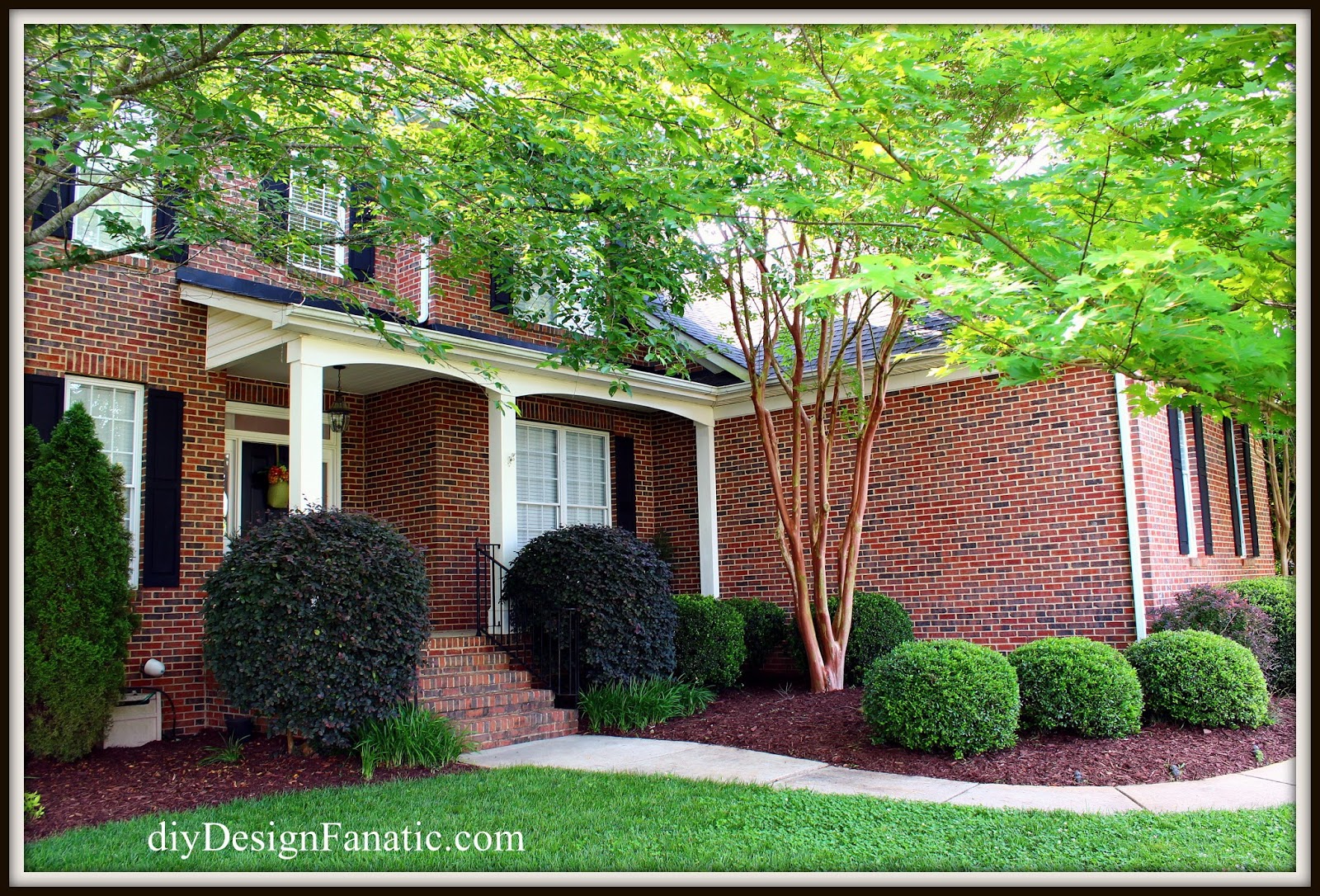 I tell ya, I was ready to cut all of the shrubs down when I was about