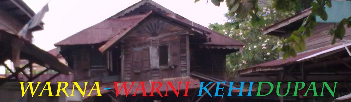 WARNA-WARNI KEHIDUPAN