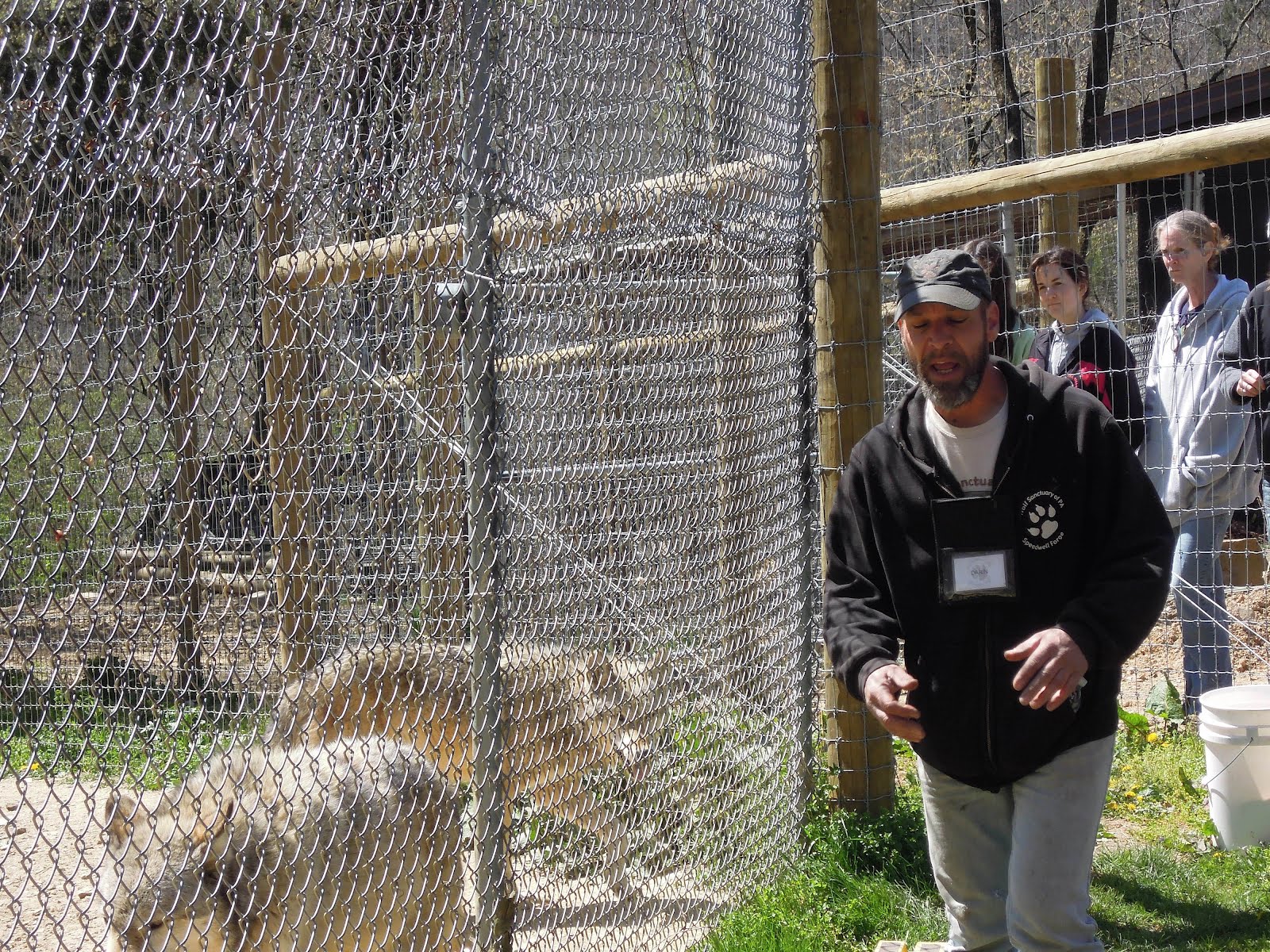 Life's Adventures Wolf Sanctuary