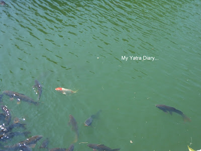 The pond in the Ninomaru Garden, Nijo Castle in Kyoto, Japan