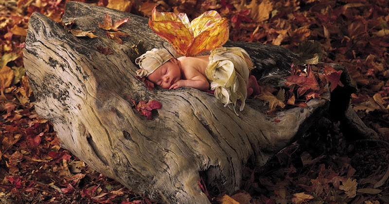 Anne Geddes Babies Images. | Oh My Baby!