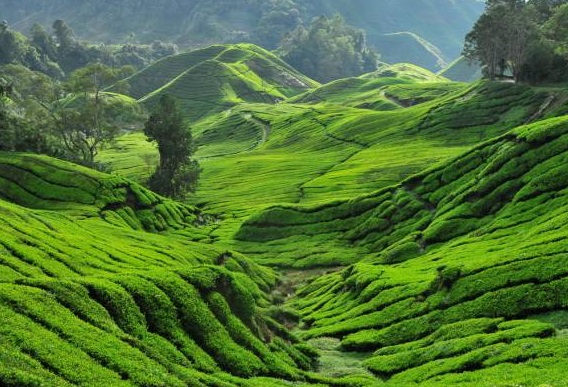ecotourism in malaysia essay ecotourism in malaysia essay