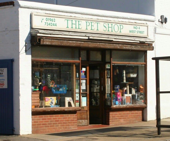 Unit 2: At the pet shop