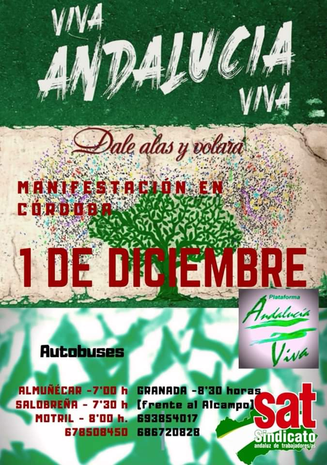 AUTOBUSES DESDE GRANADA. MANIFESTACIÓN 1D EN CÓRDOBA: VIVA ANDALUCÍA VIVA.