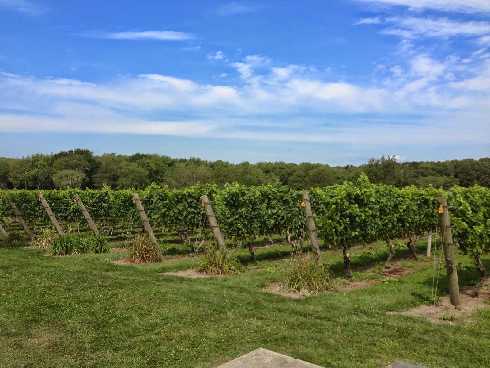 12 Meter Charters Sailing in Newport, RI Why Newport is the Perfect