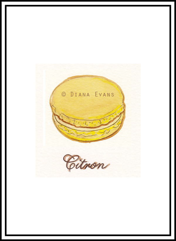Macaron Illustration