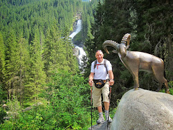 L'ibex, l'emblème du Tyrol