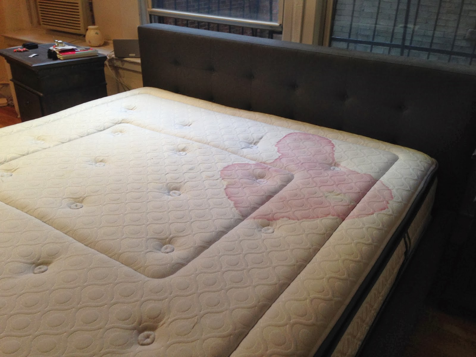 Puregreen Carpet Cleaning Organic Mattress Cleaning Nyc