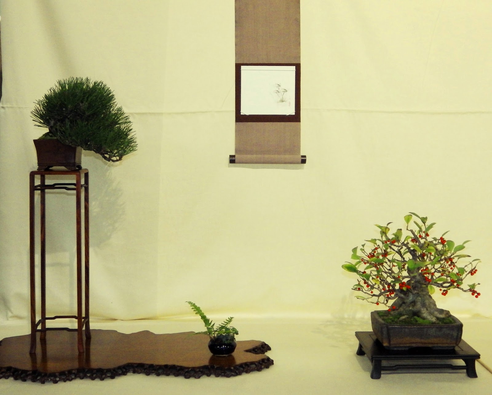 Bespoke Bonsai Stands My trees on display at the Bonsai Traders