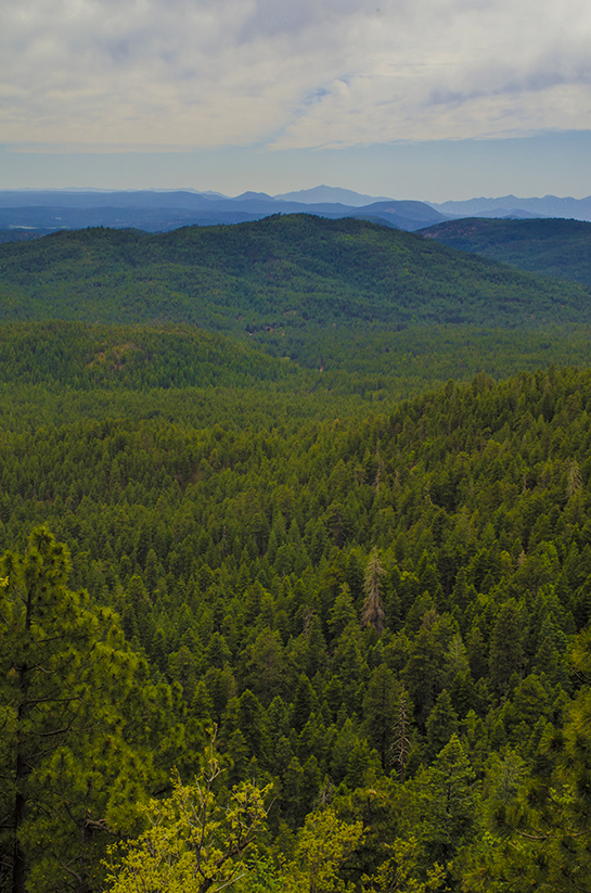 david schacher photography, llc blog Payson, AZ & Rim Country