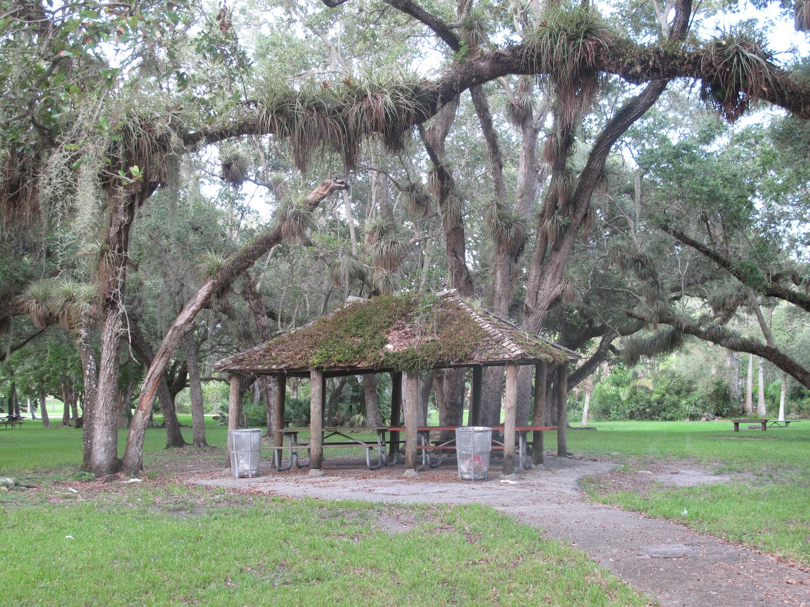 The Parks Department Matheson Hammock Park