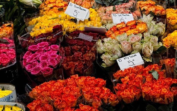 [Image: cho-hoa-noi-o-amsterdam-11.jpeg]