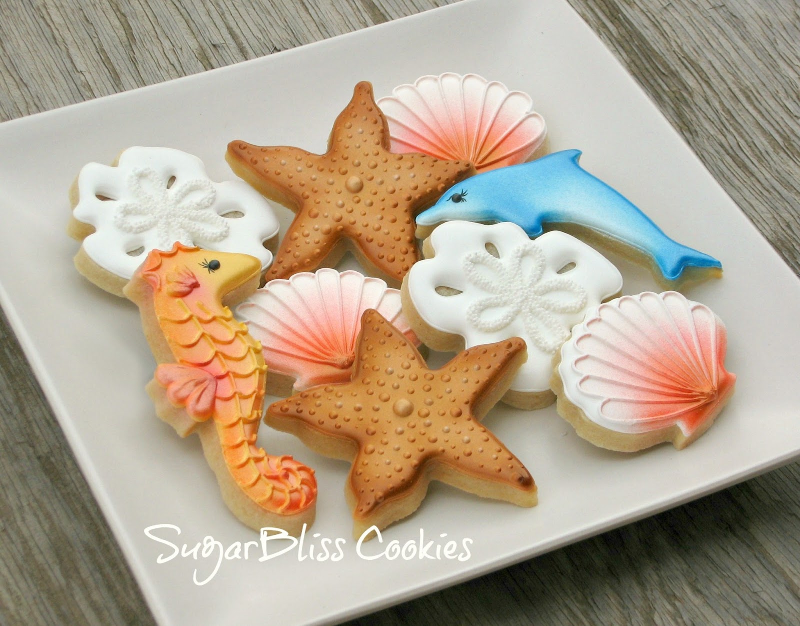 SugarBliss Cookies SugarBliss Seashells Seashell cookies, Beach