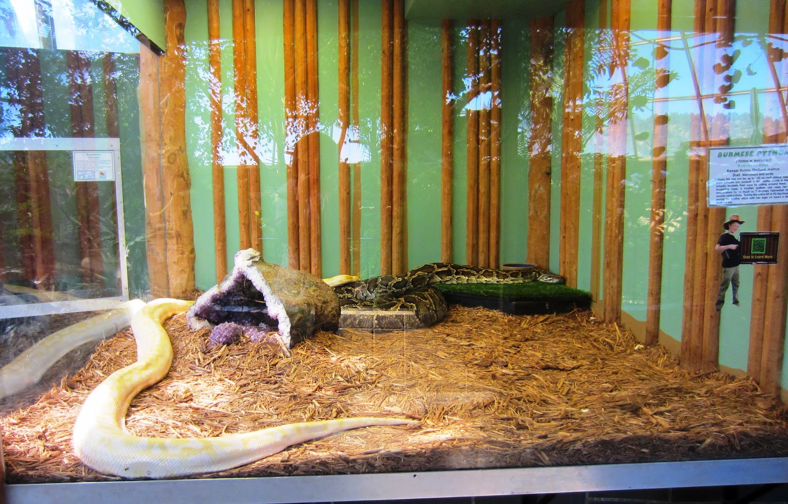 Souvenir Chronicles SOUTH DAKOTA REPTILE GARDENS, MOUNT RUSHMORE, AND CRAZY HORSE MONUMENT