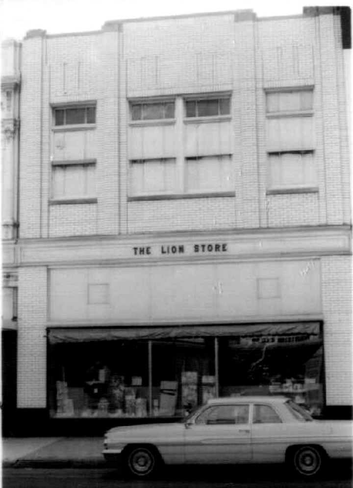 The Department Store Museum The Lion Store, Toledo, Ohio