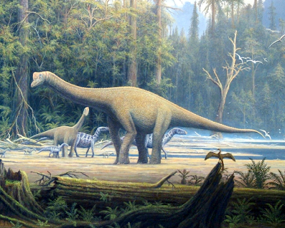 Europasaurus