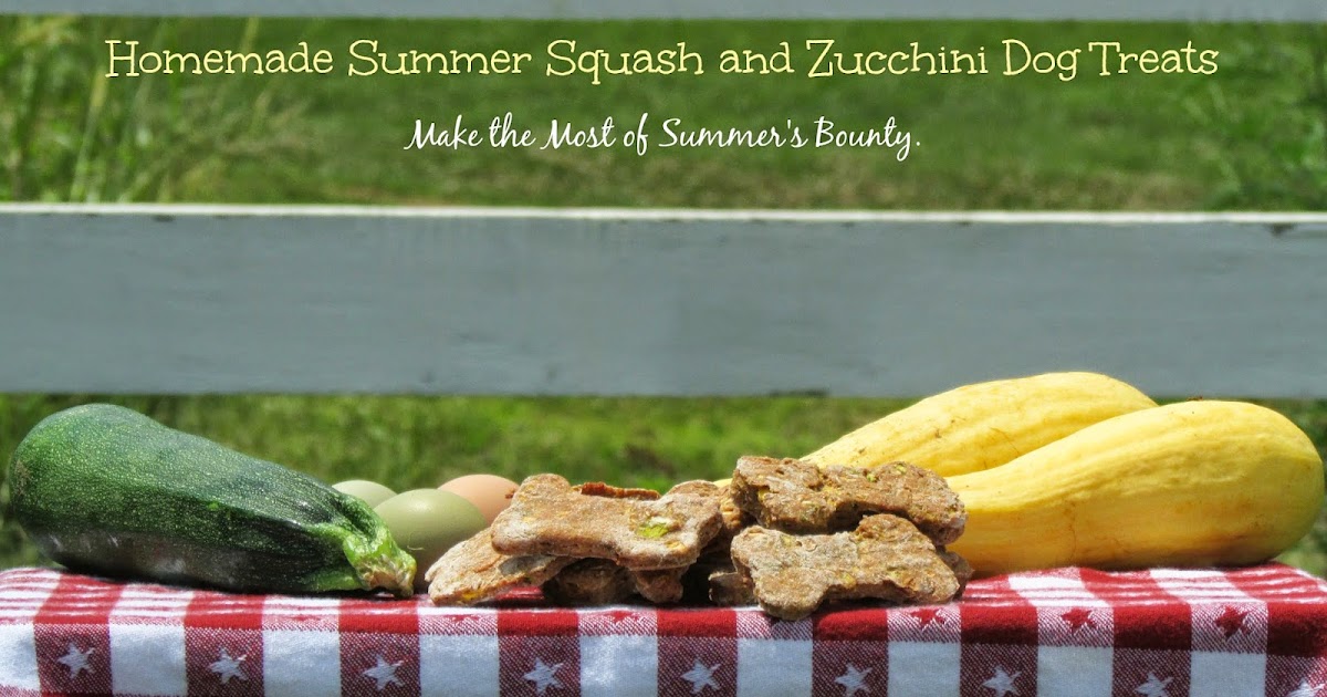 My Rotten Dogs Homemade Summer Squash and Zucchini Dog Treats