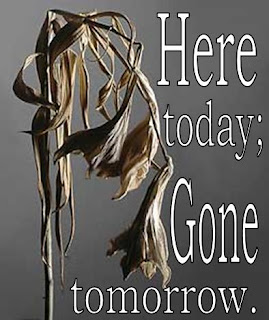Here Today, Gone Tomorrow