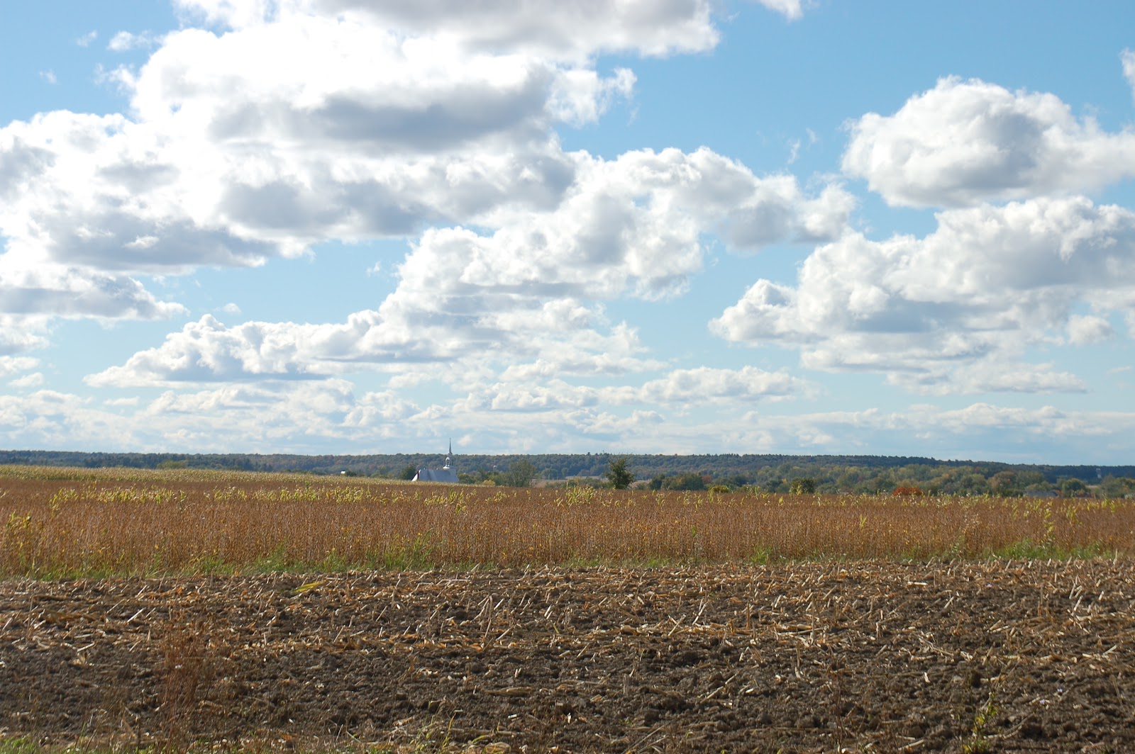 Hans Heisinger Juli 2011
