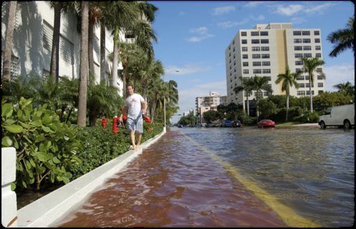 palm beach confidential october pdf
