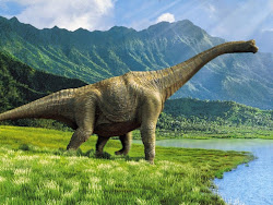 Apatosaurus