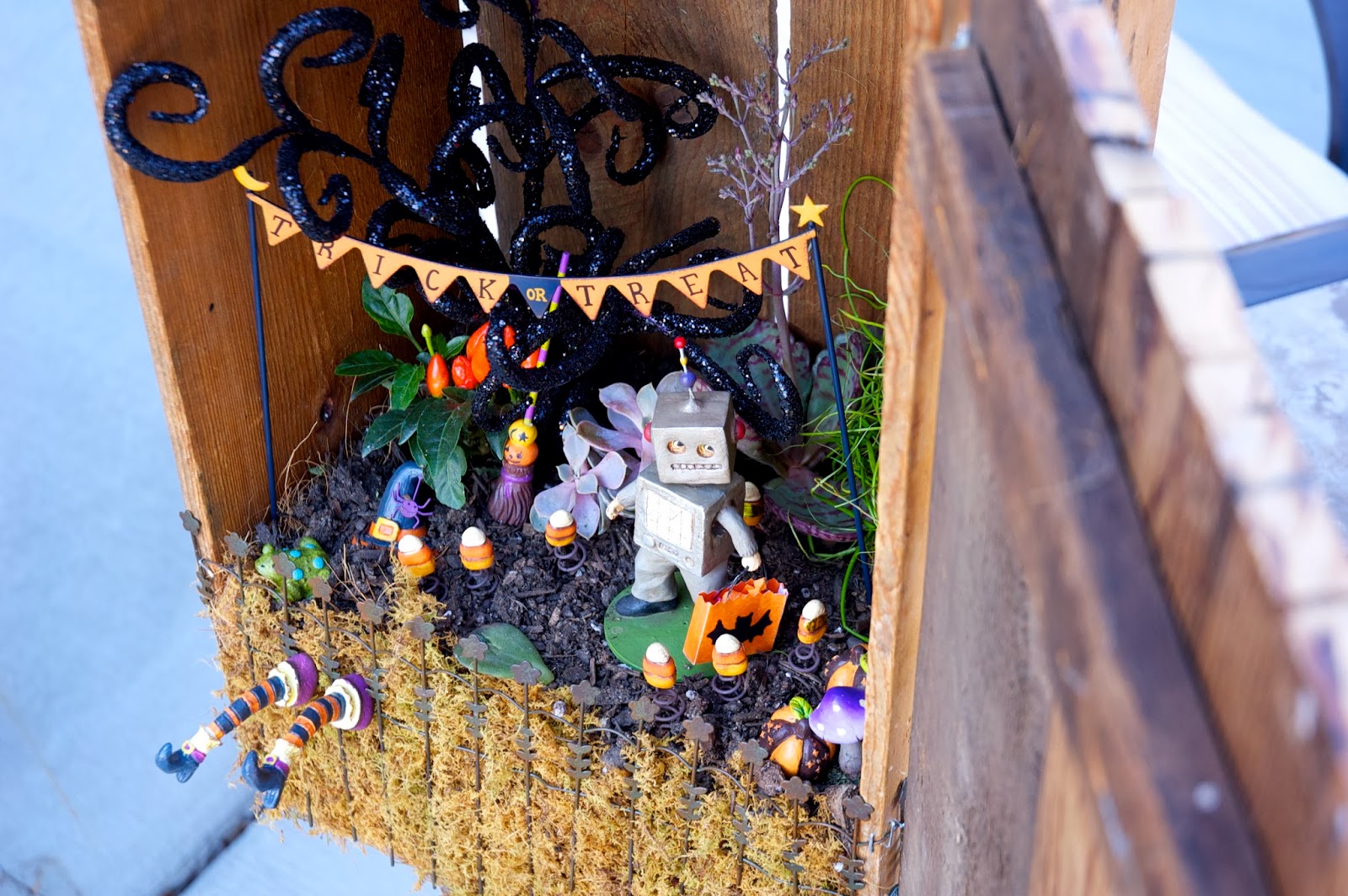 restlessrisa Halloween Terrarium Tutorial