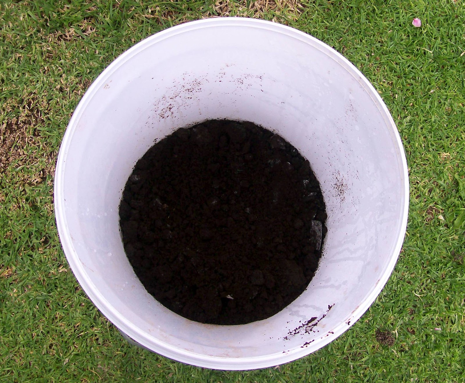 Sustainable Sisters Team Composting Coffee Grounds